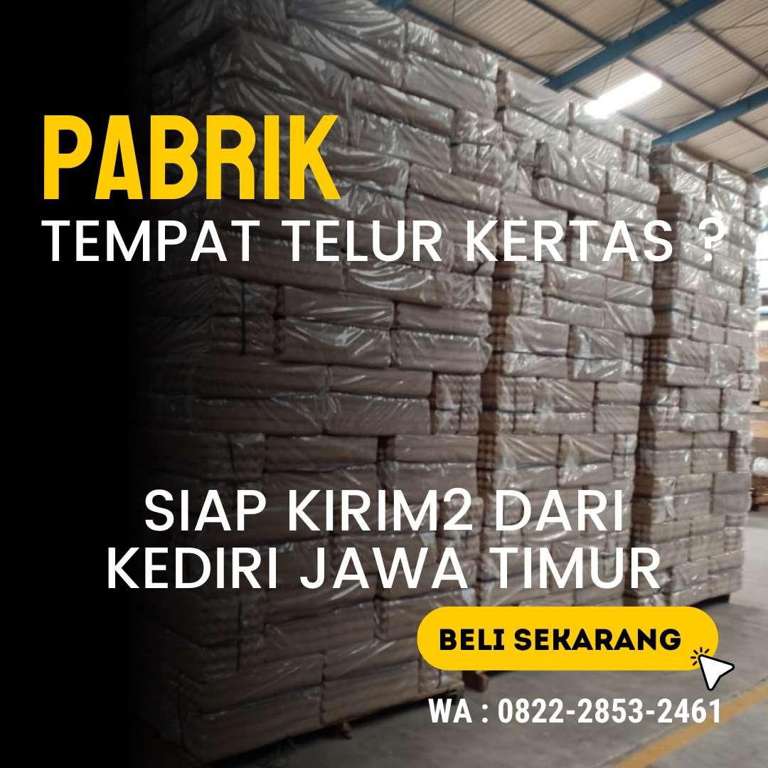 0822-2853-2461 Pabrik Tempat Telur Kertas ? Delang, Lamandau