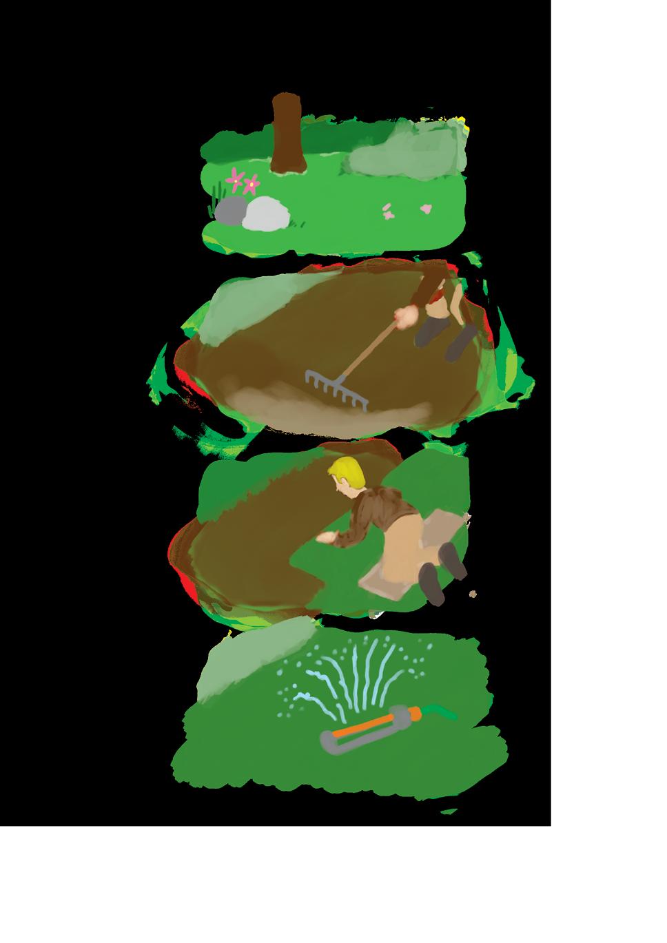 Gazon en rouleau 2024 by LANDI Issuu