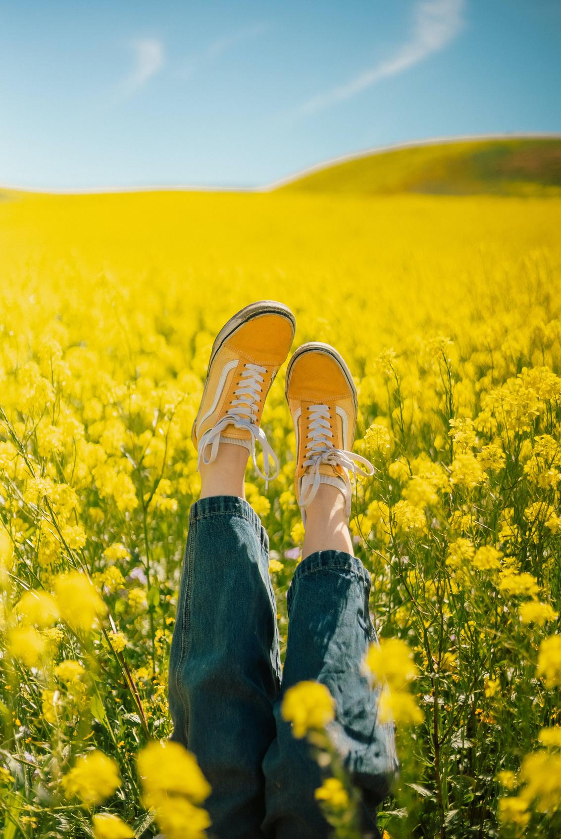 The Sober Edit - Spring Edition