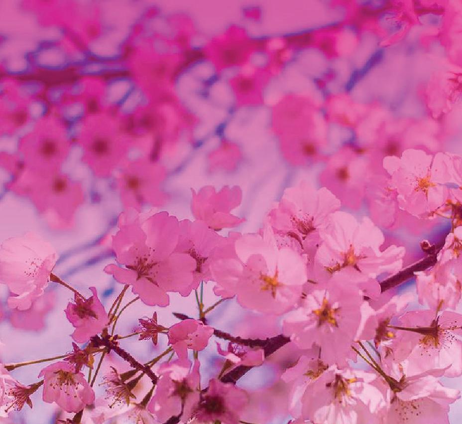 SPRING SEASON 2024 Program Guide by BenderJCC Issuu