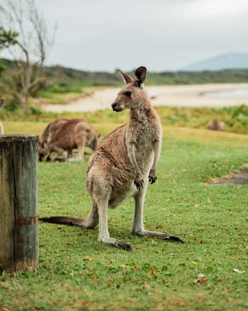 Reflections - Outsider - 2024 by reflectionsholidays - Issuu 