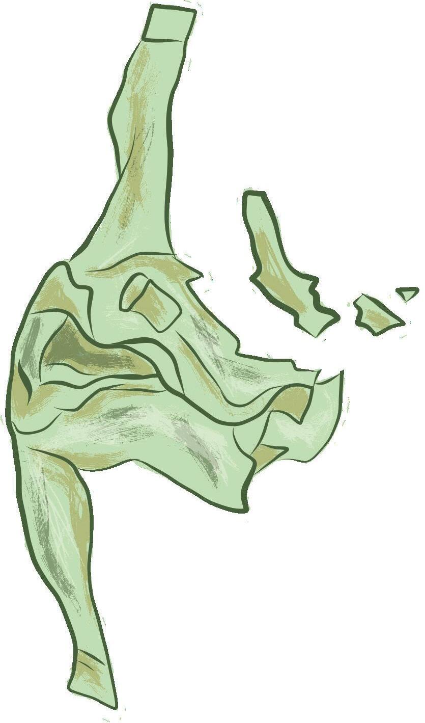 Cover for The Hidden Harm of Microplastics from sea to grocery shelves