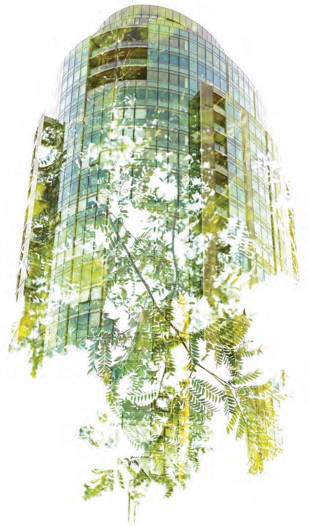 Cover for Building a Carbon Negative Future with Steel and Cross Laminated Timber
