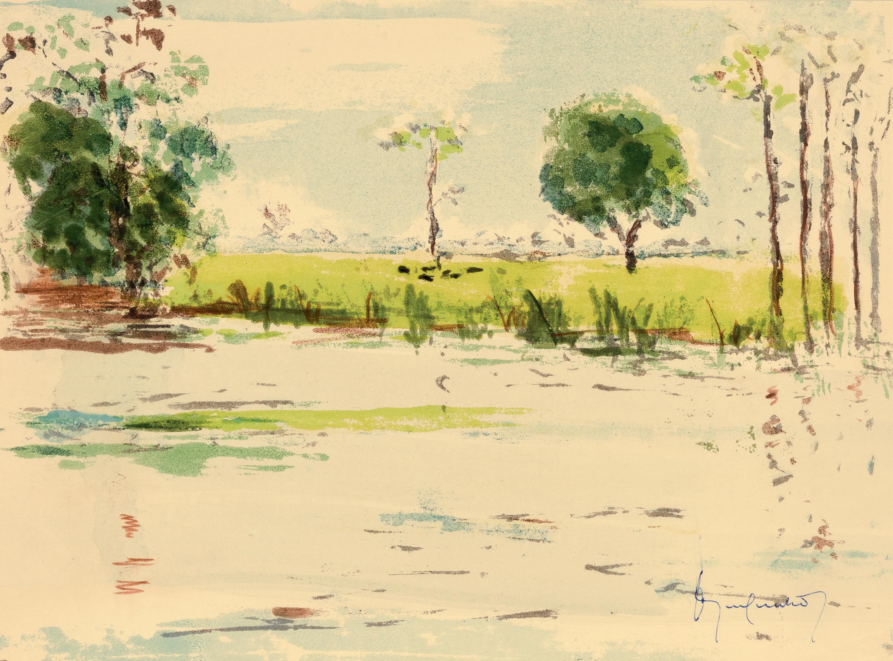 Issuu, image size:2953x2186