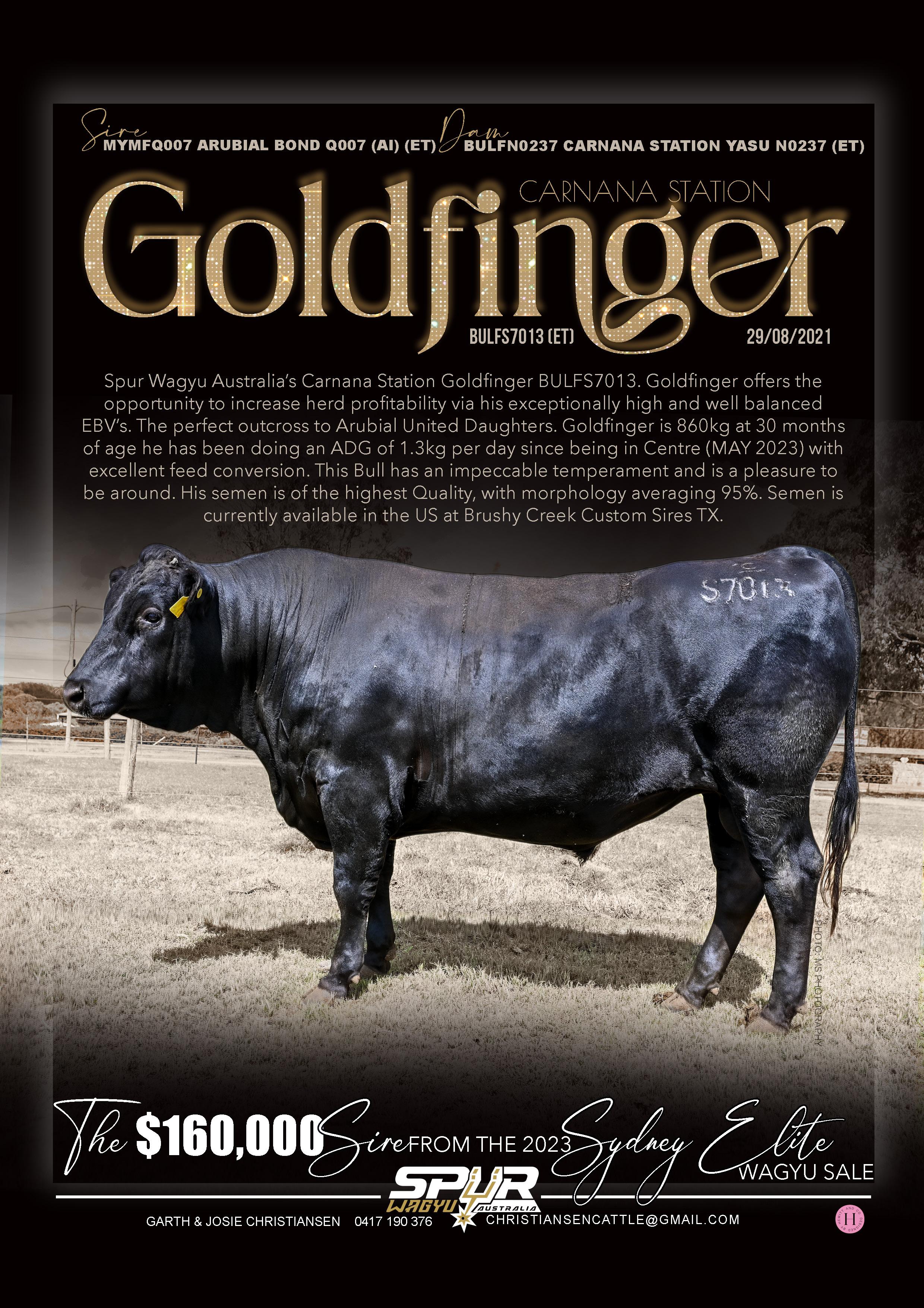 Elite Wagyu Sale 2024 by Australian Wagyu Association Issuu