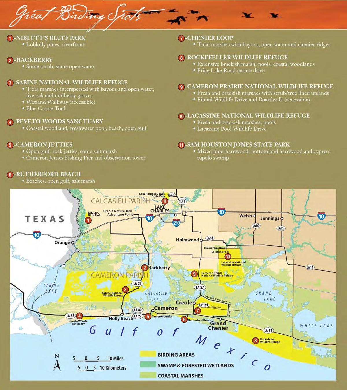 Swla State Map Southwest Louisiana Birding Guide by Visit Lake Charles - Issuu