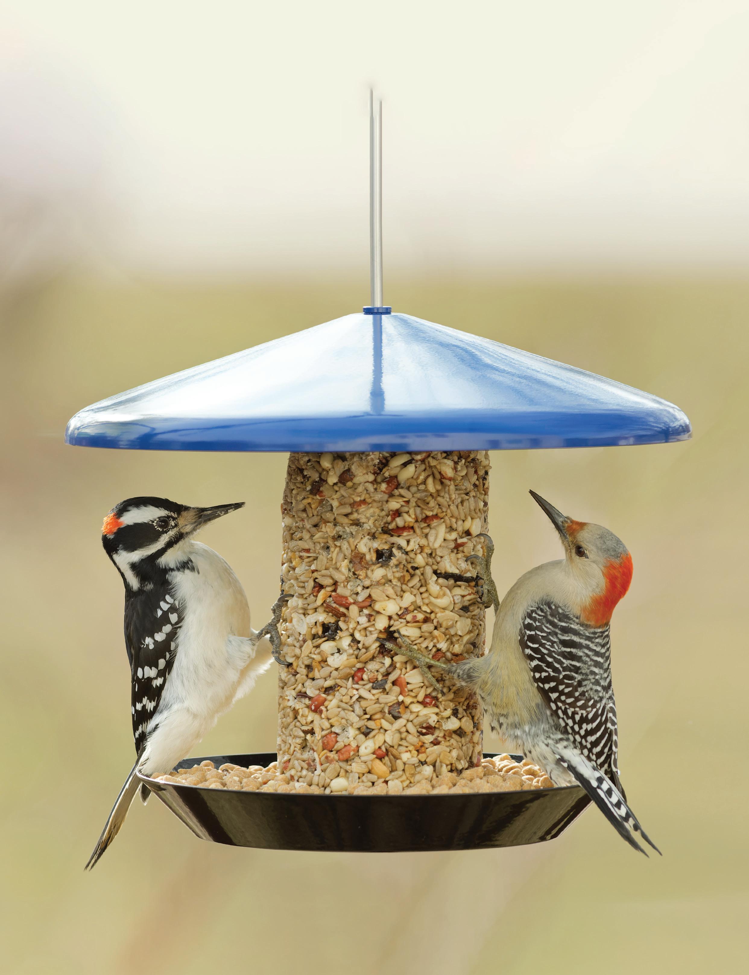 Wild Birds Unlimited All Seasons Hobby Guide Canada by Wild Birds ...