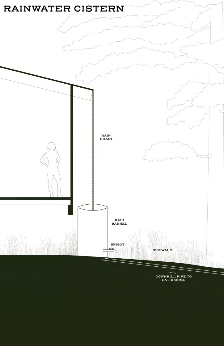 Things are about to change in our off grid renovation - Off-Grid Apartment Renovation With Incorporating A Bioswale