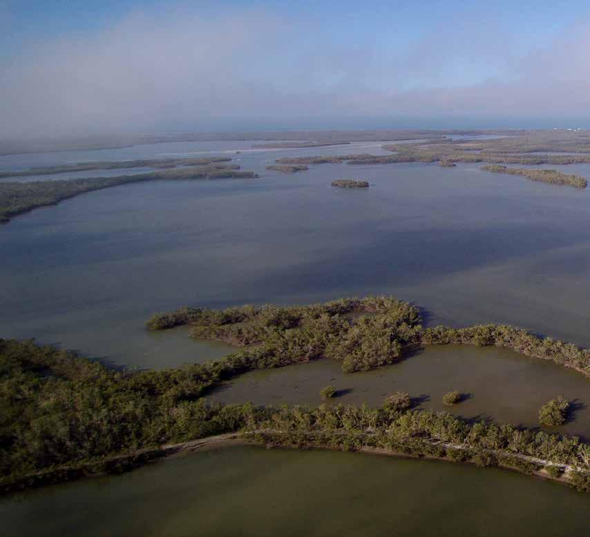 Cover for Restoring Habitat, Fostering Fisheries