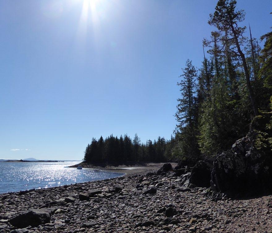 Seal Cove Fay Ranches by Fay Ranches Issuu