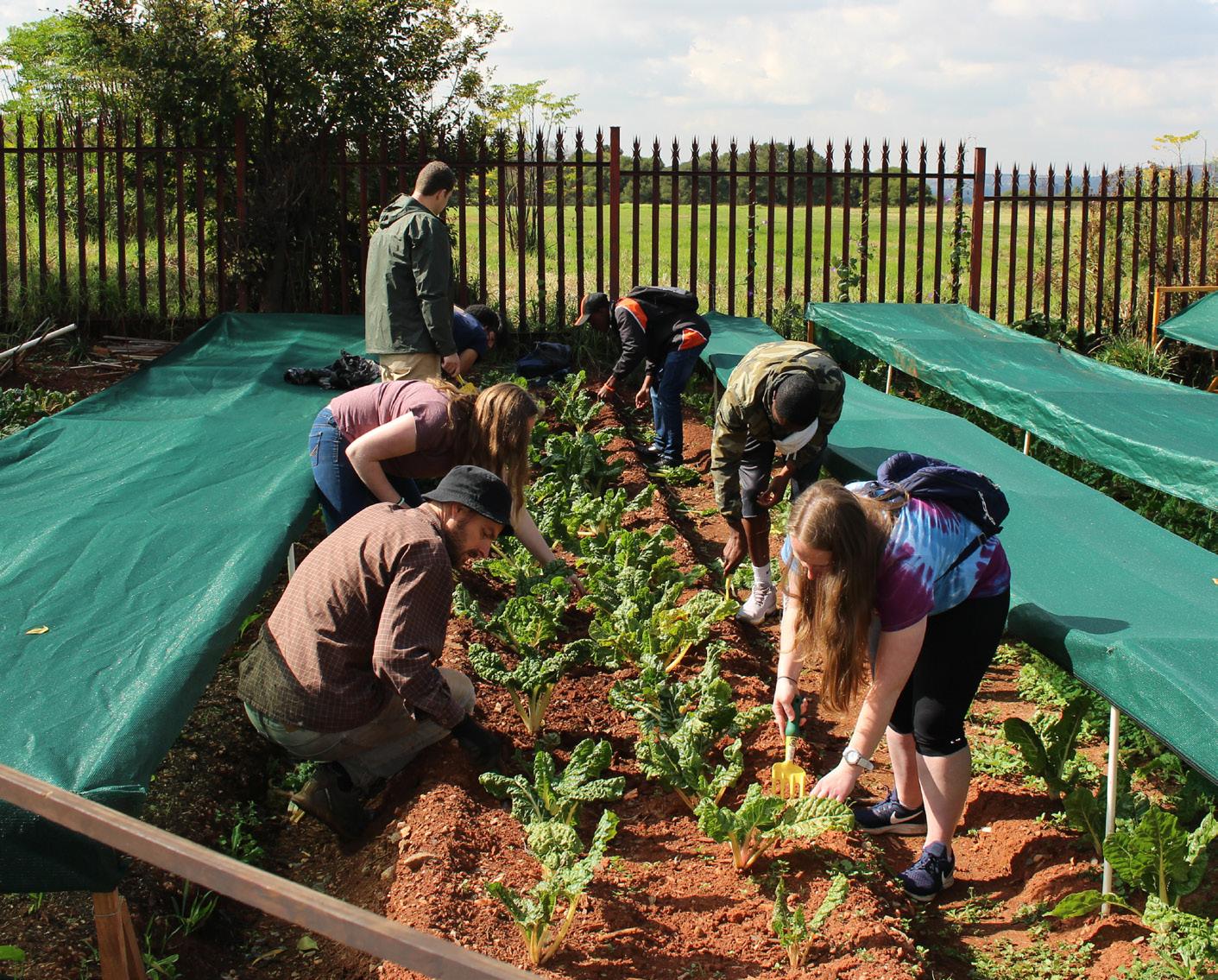 WorldStrides Higher Education for Partners Brochure by WorldStrides - Issuu