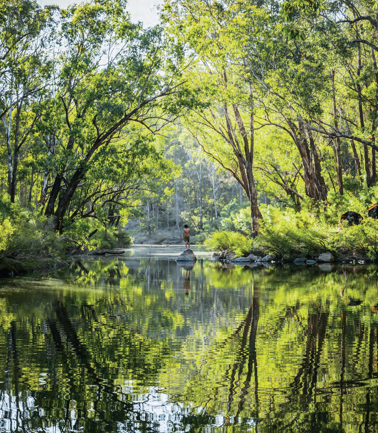 minä perhonen forest parade  bed minä perhonen forest parade river bed mina perhonen forest