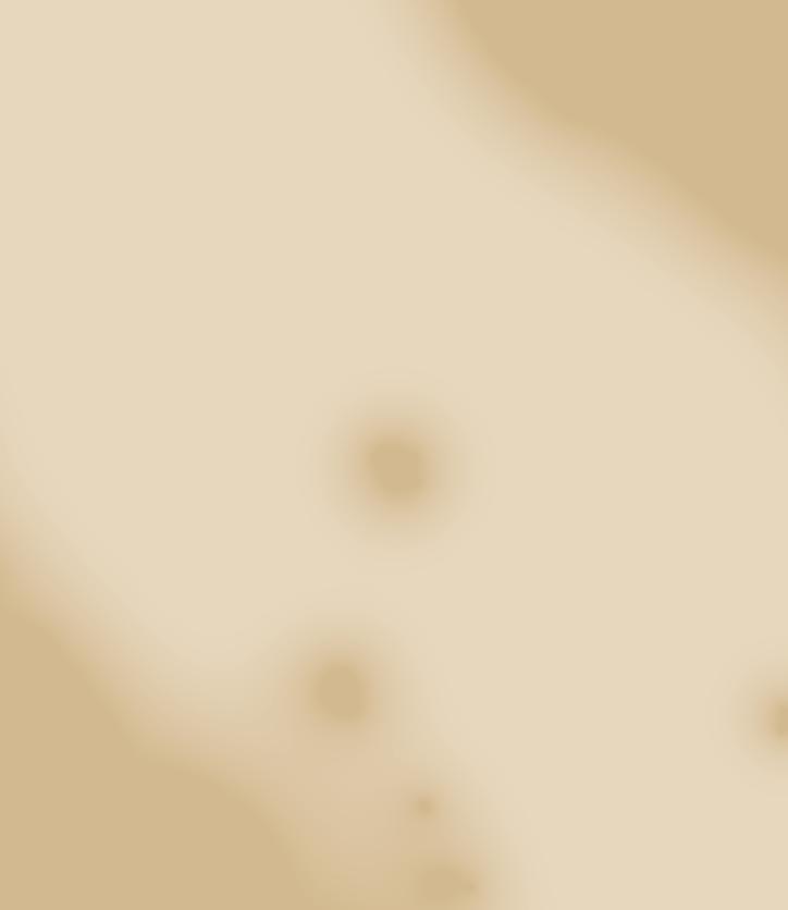 2025 World Holidays by Mayflower Cruises & Tours Issuu