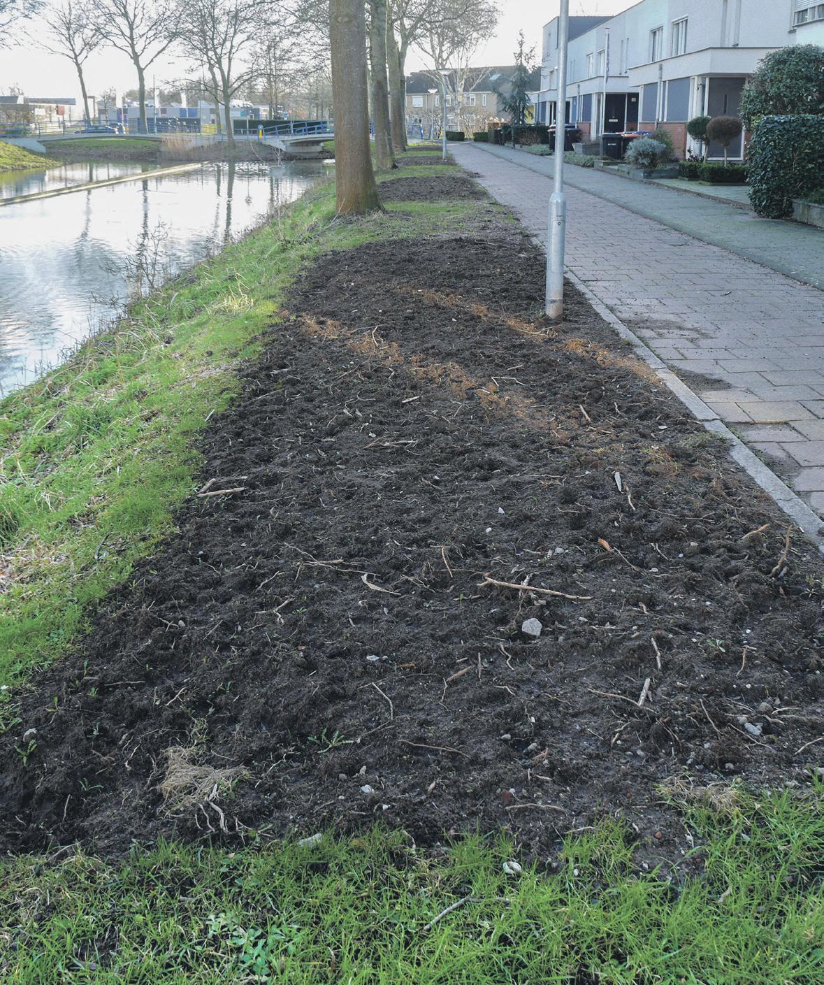 Groen wordt veelkleuriger