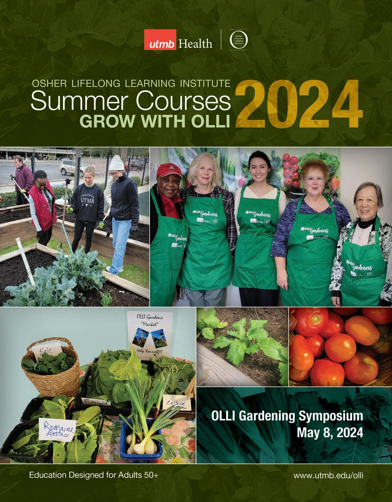 OLLI Summer Catalog 2024 by UTMB Health Issuu