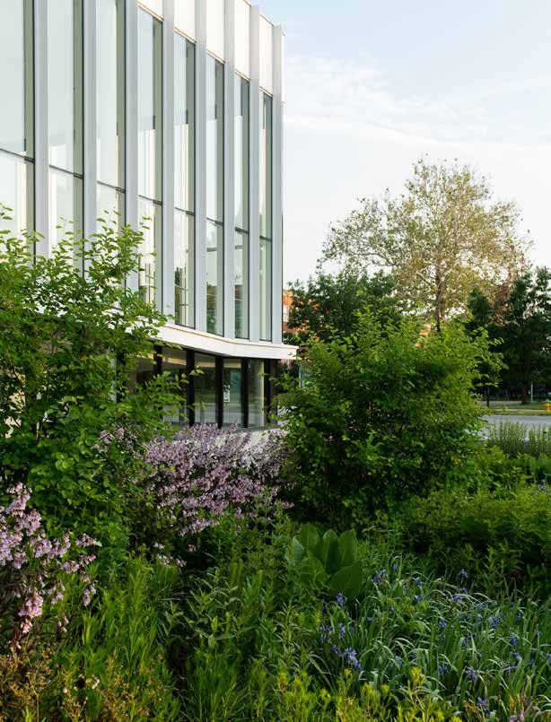 ALL - The Making of The Tom and Ruth Harkin Center by BNIM - Issuu