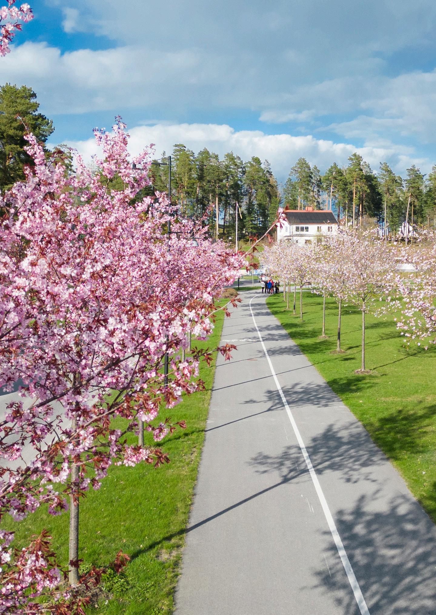 Näringslivsnytt Katrineholms kommun april 2024 by +Katrineholm Issuu