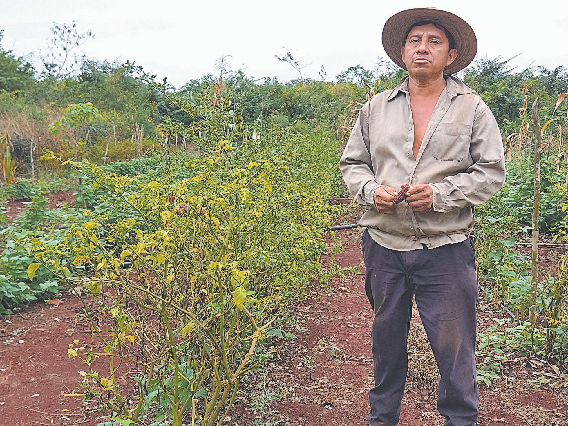 5 mercados de agricultores imprescindibles que visitar en Nueva York - El  blog de New York Habitat, image size:1958x1469