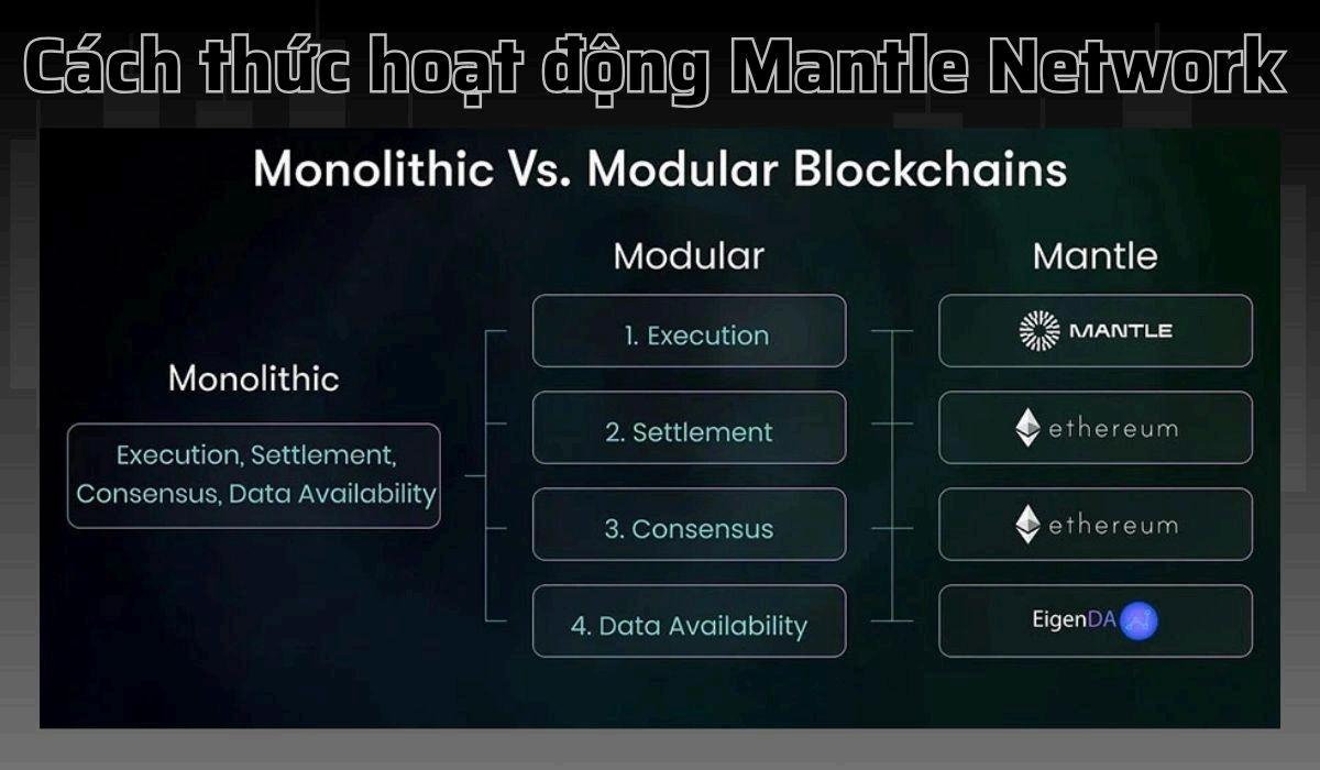 Mantle Network là gì? Thông tin chi tiết về dự án MANTLE by Việt CF - Issuu