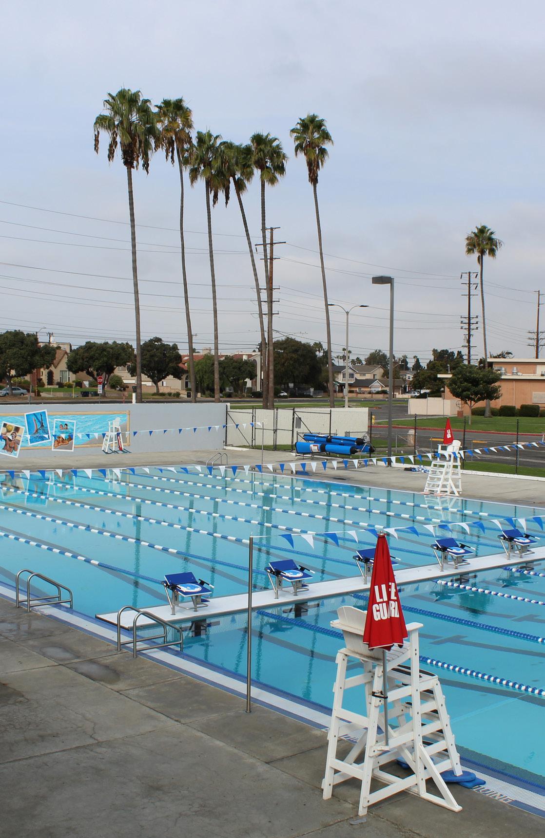 Torrance Seasons Summer 2024 by TorranceRecreation Issuu