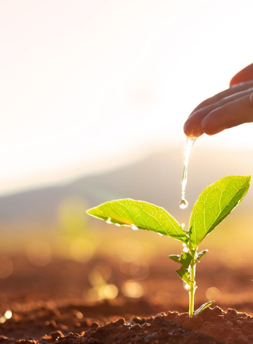 Designs for Health Australia Product Catalogue 2021 by designsforhealth