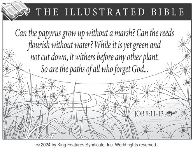 05-08-24-issue-by-shopping-news-issuu