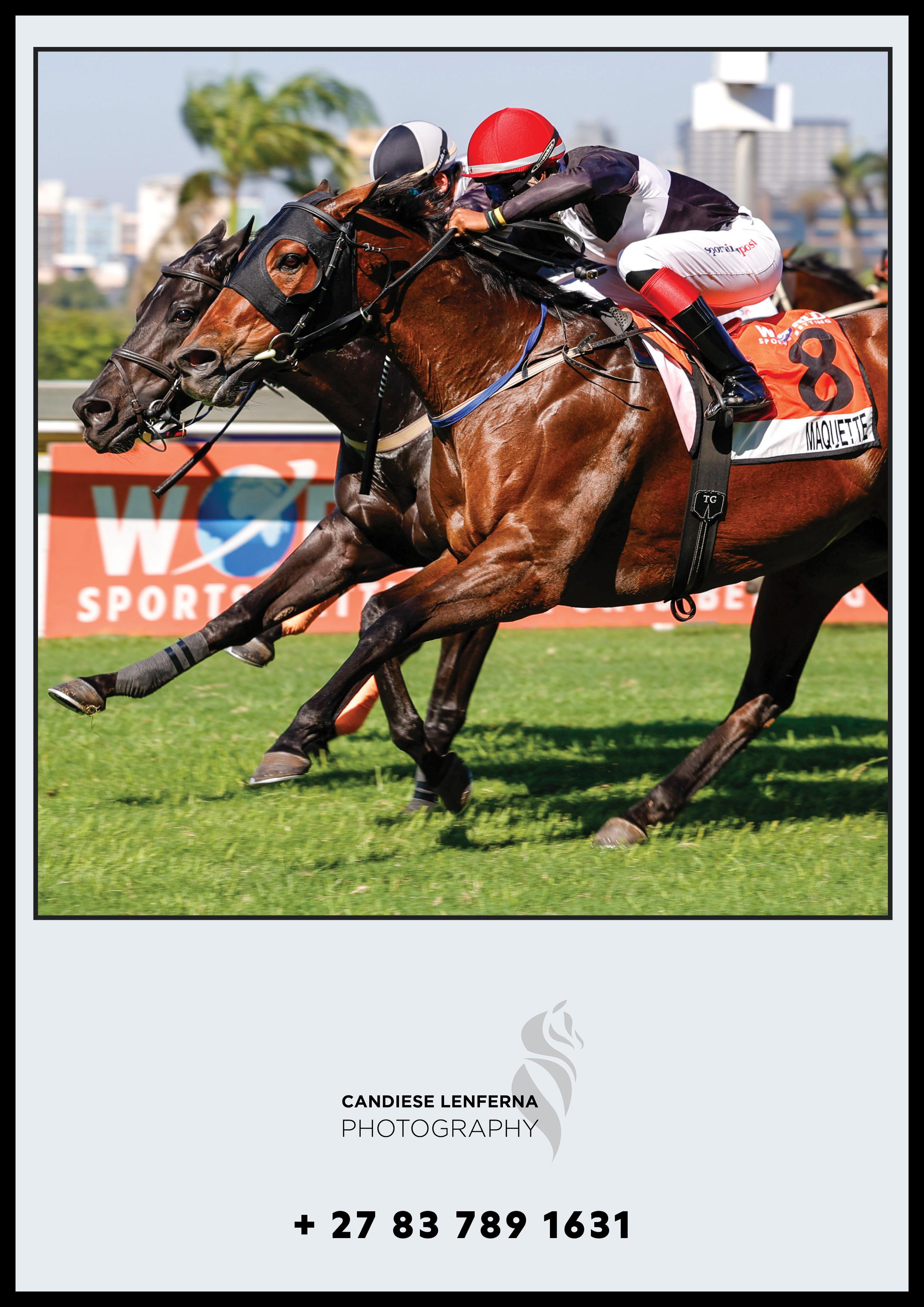 789 bet Where Betting Dreams Come True in 2024