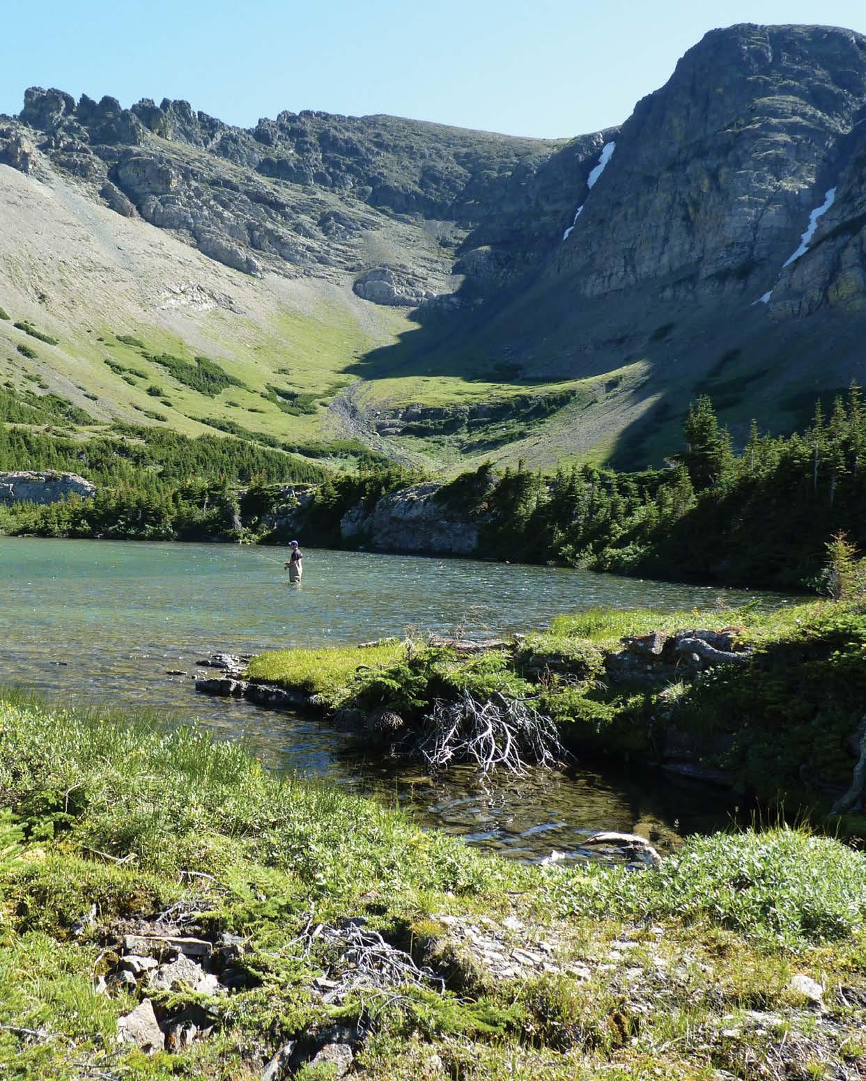 Why Go Fishing – Is it Really for the Fish?