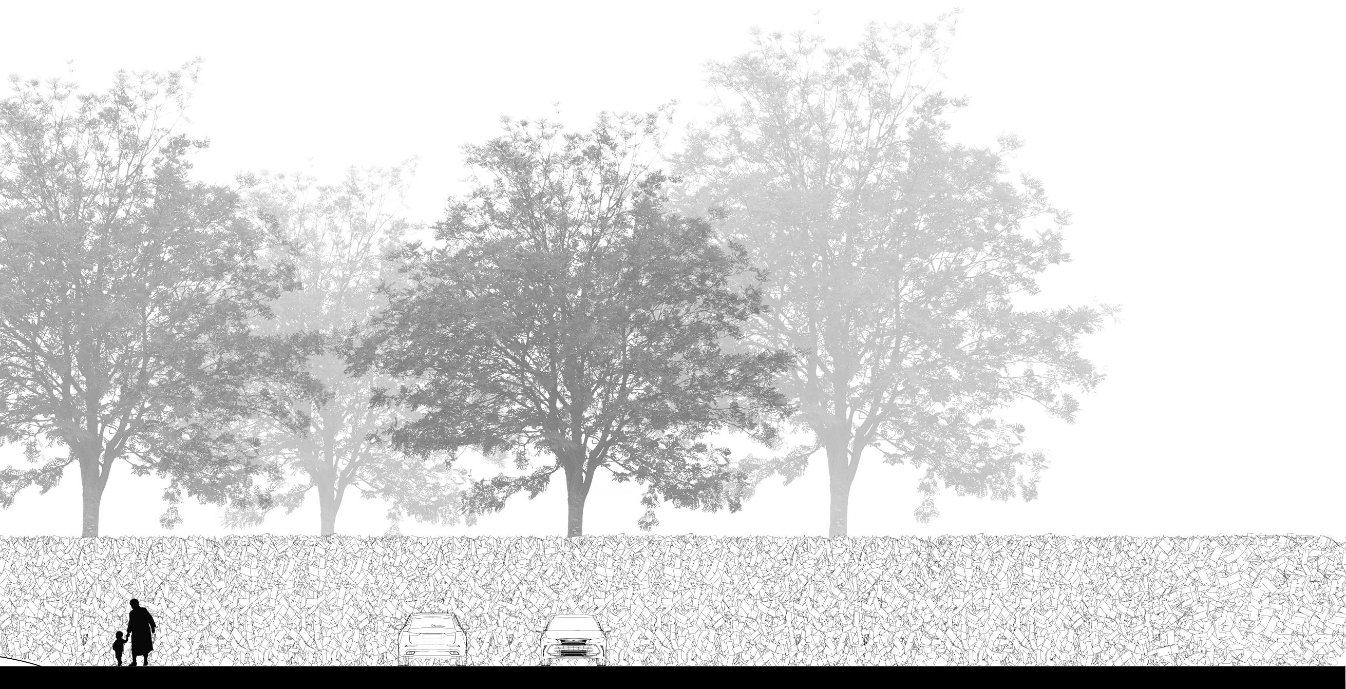 2024 Portfolio Colman Brackin by Colman Brackin Issuu