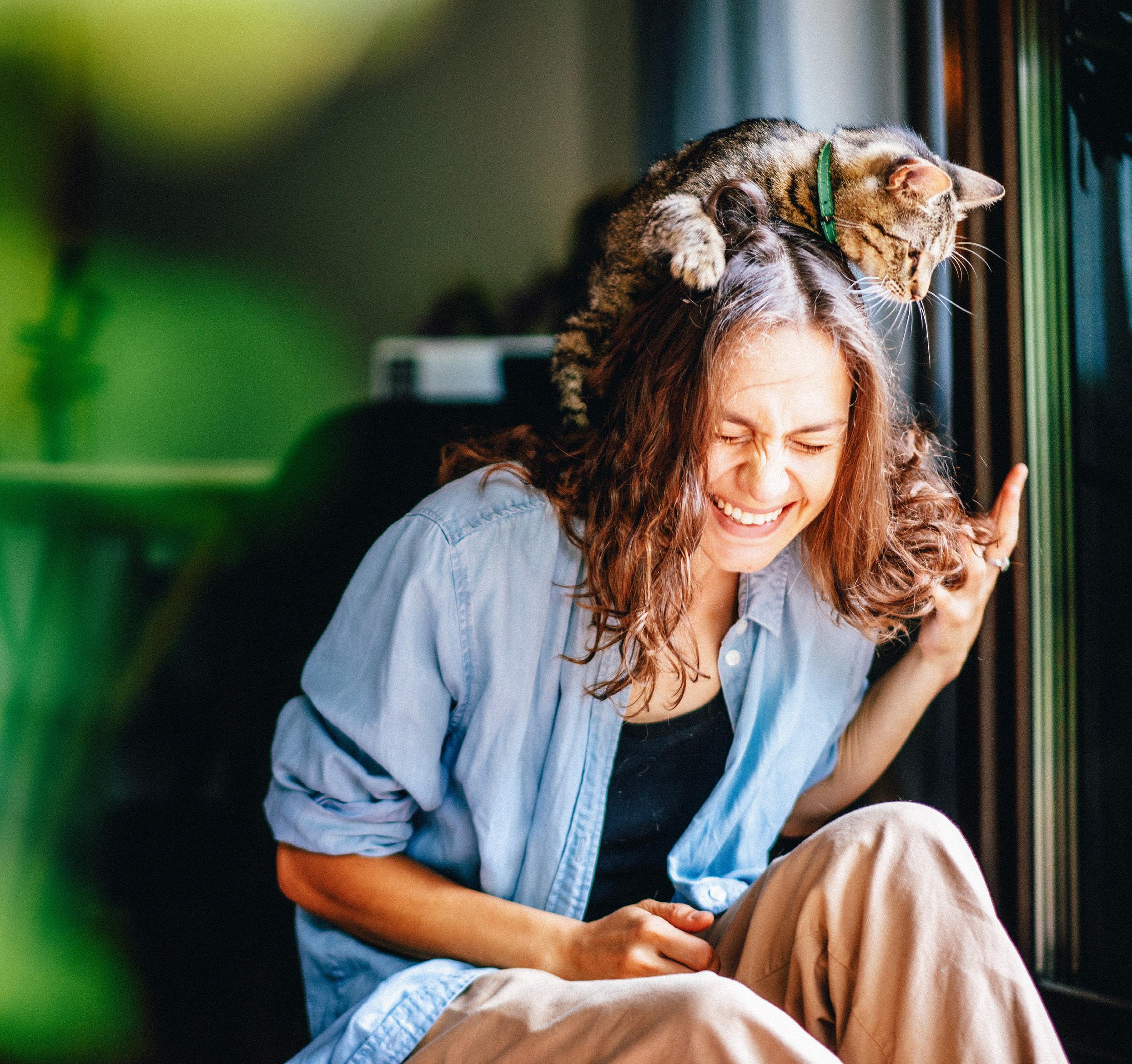 Independent Grocery Chilled Pet Food Range by Real Pet Food Co Issuu