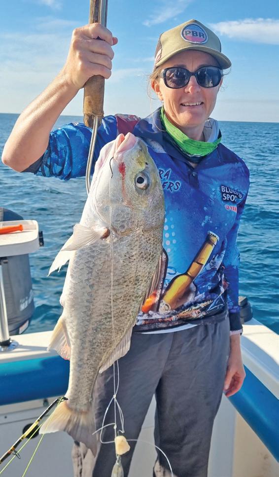 Cover for Capricorn Coast winter options