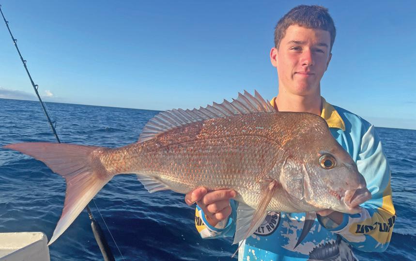Cover for Snapper time in southeast Queensland