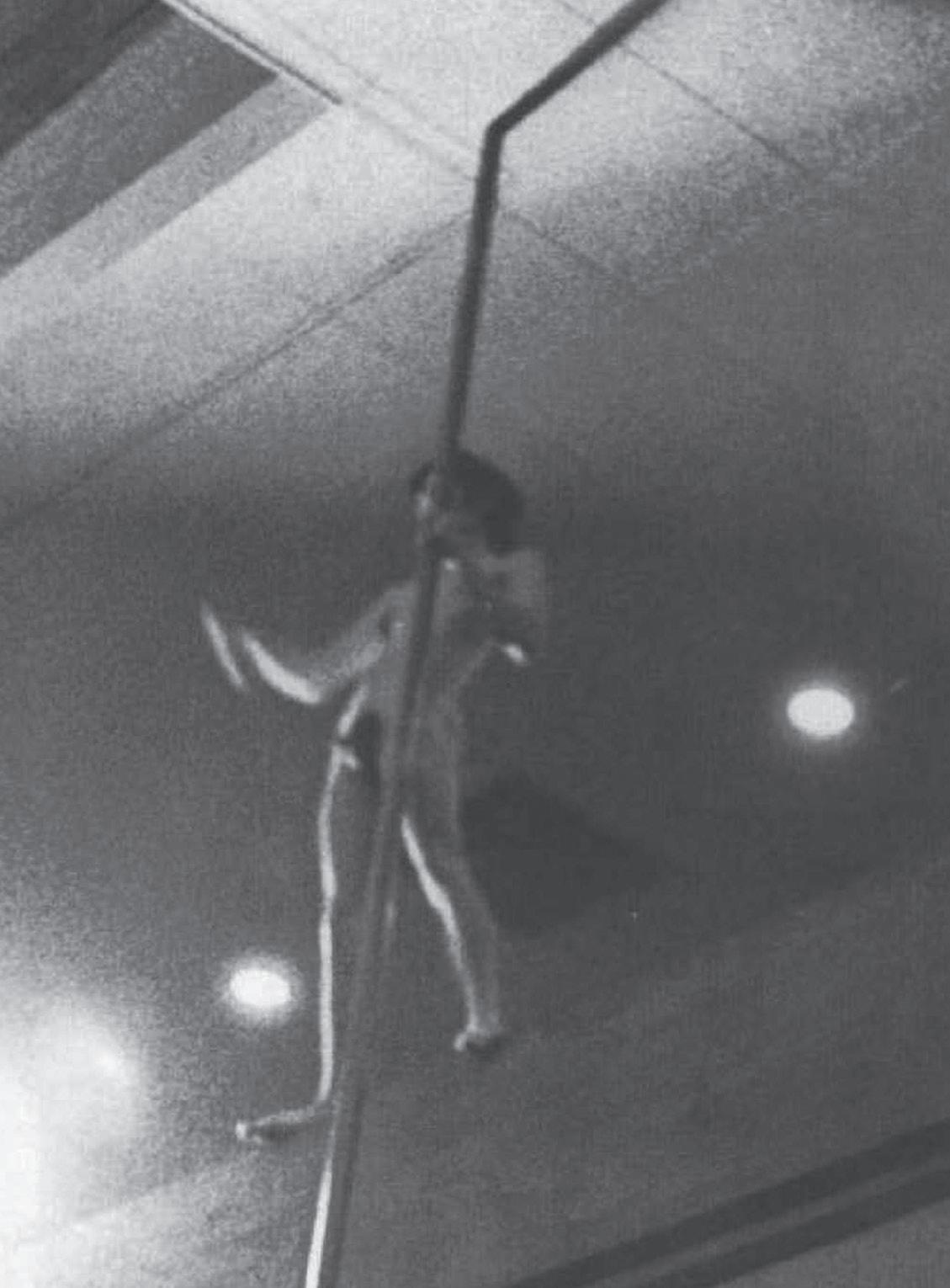 A ARTE DA PERFORMANCE