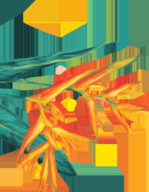 2024 Badger Wholesale Order Book by badgerbalm Issuu