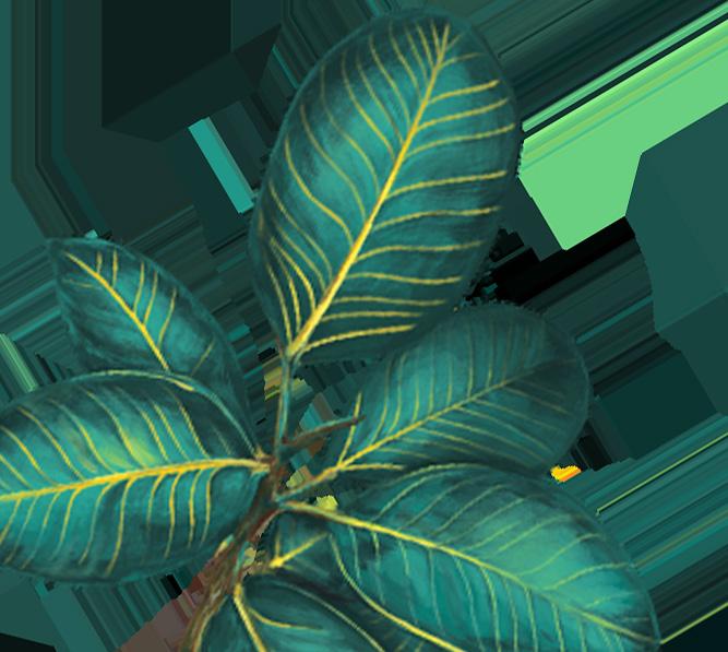 2024 Badger Wholesale Order Book by badgerbalm Issuu