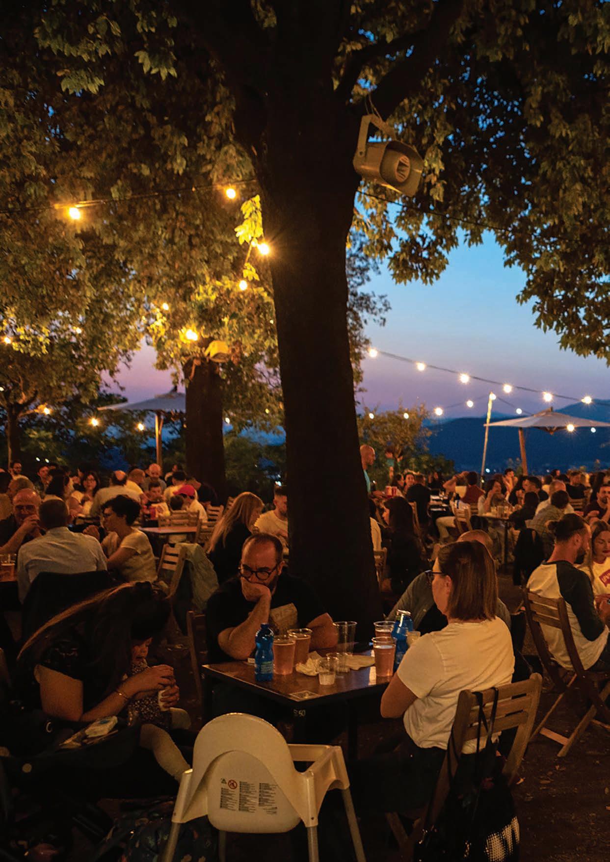 Wikiloc | Percorso 07-DIC-18 ALLA RICERCA DEI GIGANTI VERDI NEL PARCO DI  MONZA...aggiornamento, image size:1243x1757