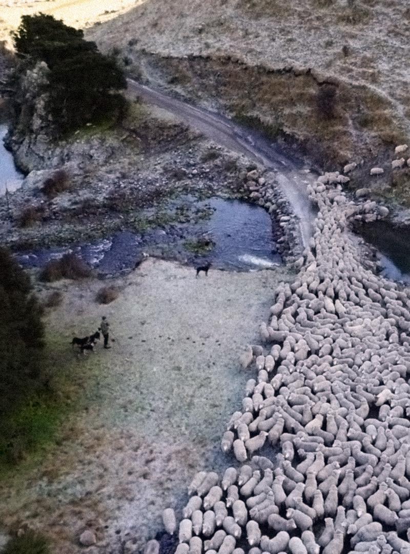 McDonald Catalogue 2024 2025 by McDonald Textiles Issuu