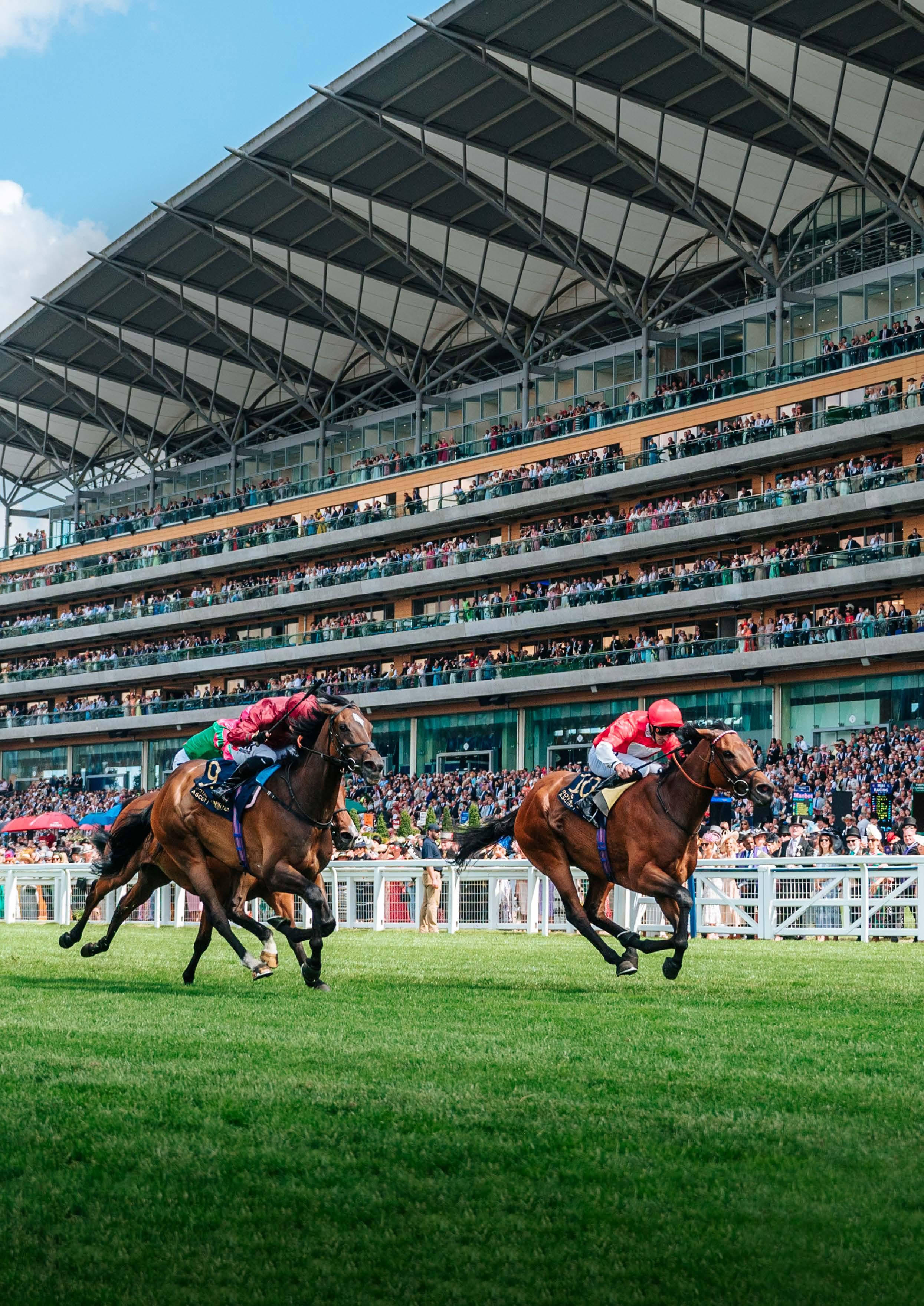 Vibrant crowd at the Tycoon Music Festival showcasing the diverse lineup of the year