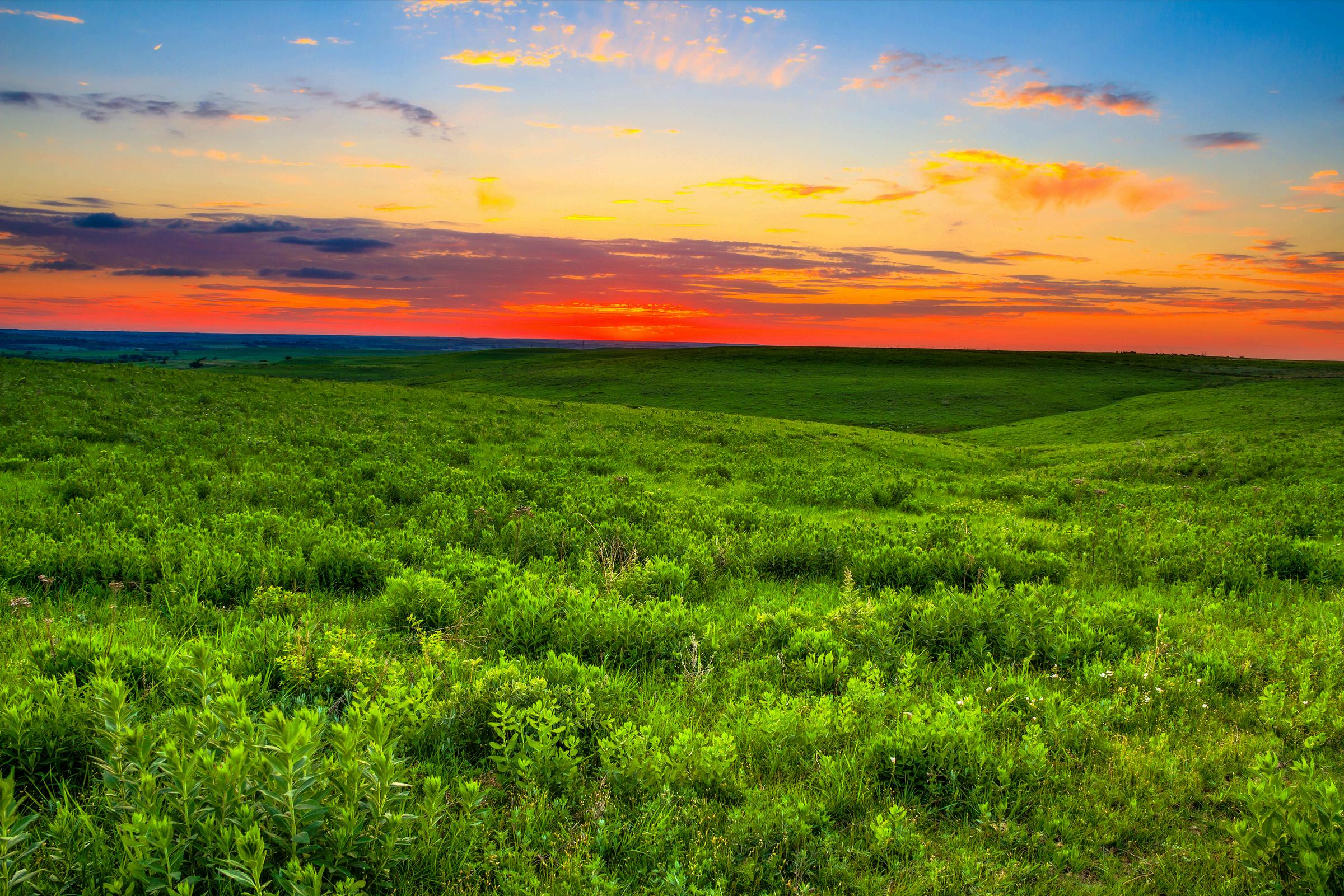 PSCC_ 2024 Impact Report by PrairieSkyCounseling - Issuu