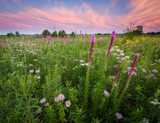 PSCC_ 2024 Impact Report by PrairieSkyCounseling - Issuu