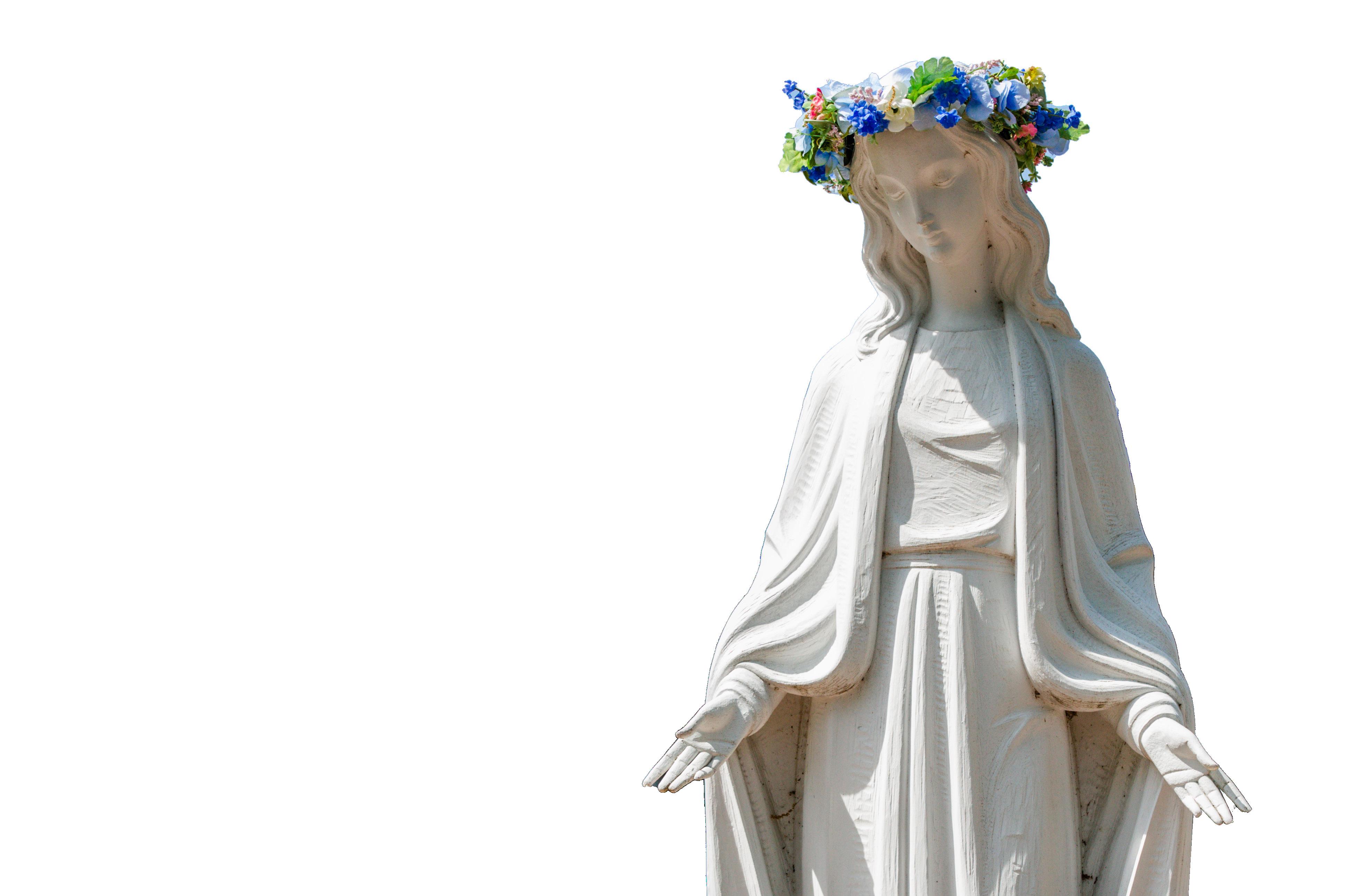 Surrogates / Recasts, image size:3957x2586