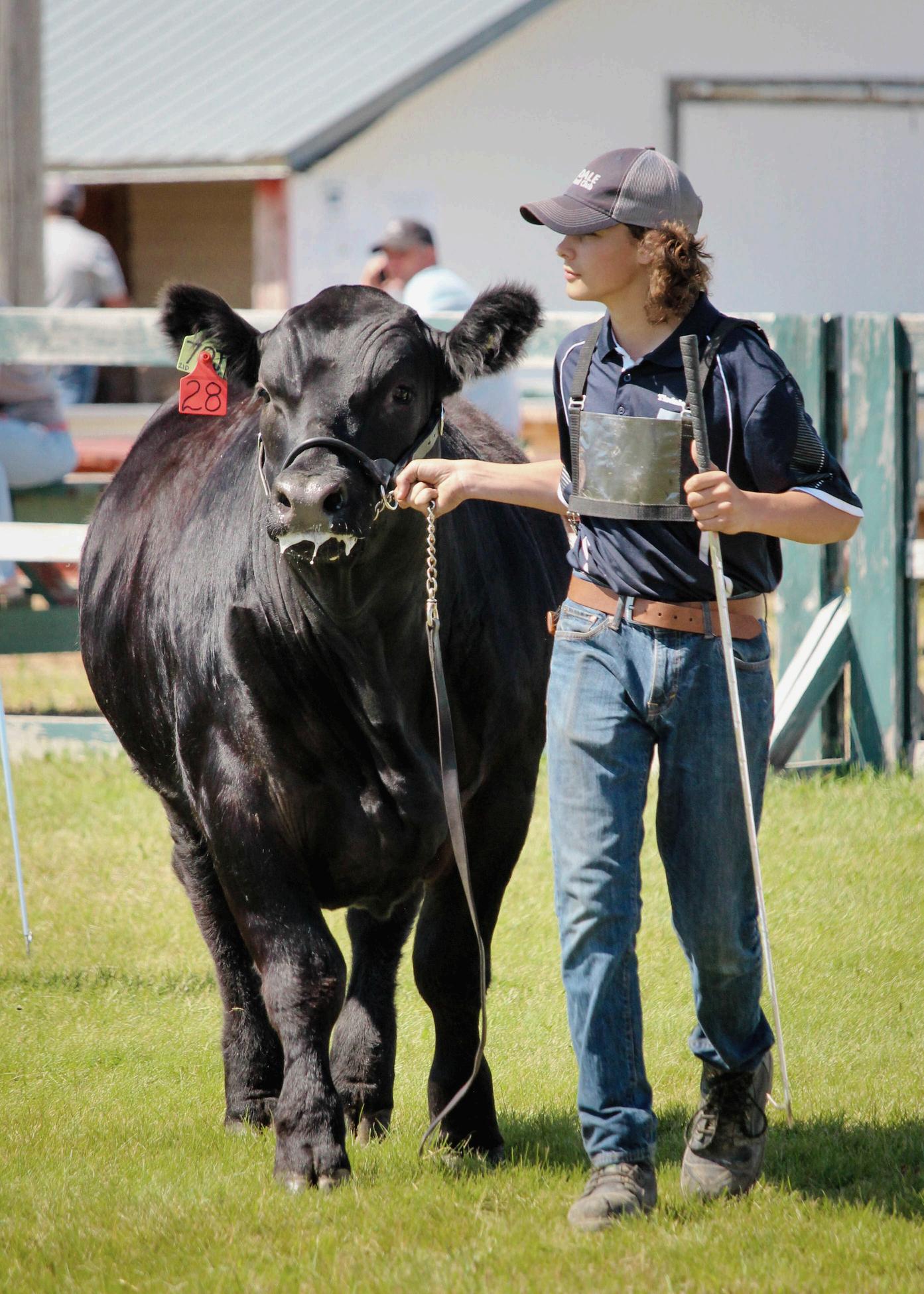 2024 Tisdale 4H Beef Club Steer Catalogue by Tisdale 4H Beef Club Issuu