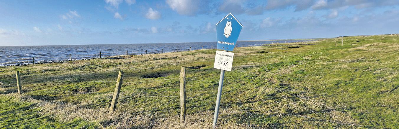 Germany's National Parks: Lower Saxony Wadden Sea National Park