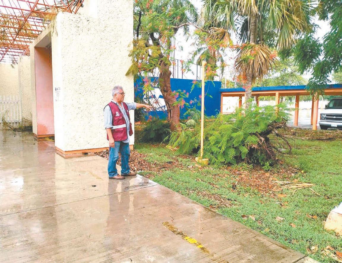 Cojin Decorativo Cojines De Princesas Cojín Decorativo Corona Princesa-  Blanca – Banzay, image size:1152x886