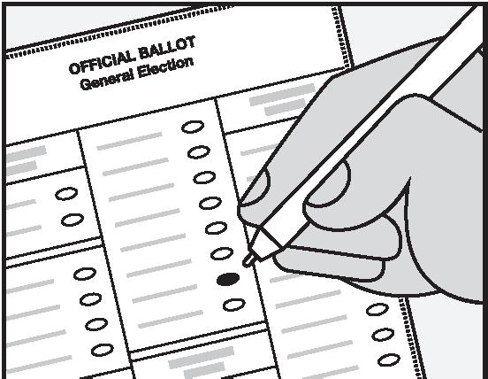 Local Voters' Pamphlet August 6, 2024 Primary by SnoCoVotes - Issuu