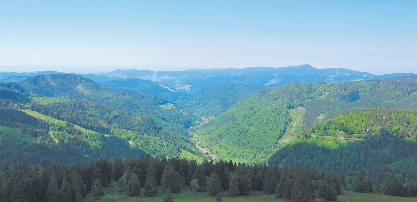 Hochschwarzwald Summer hiking