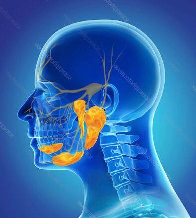 Salivary Glands • Vol. 20: #28 • (7-7-2024) Tidbits of Coachella Valley