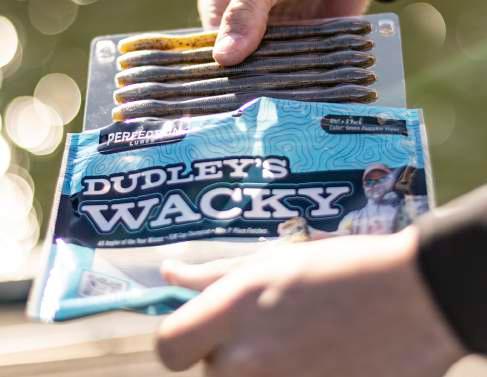 Anything Possible Catalog 2025 by llaramore - Issuu