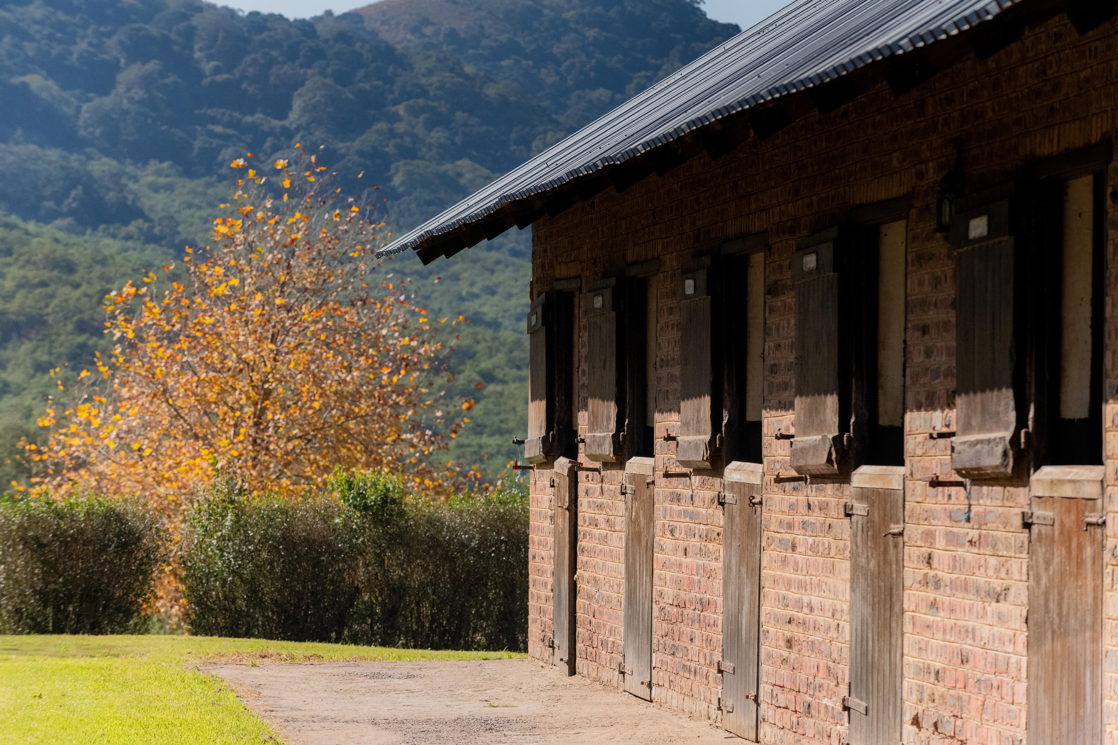 THE FORT STUD AND STABLES