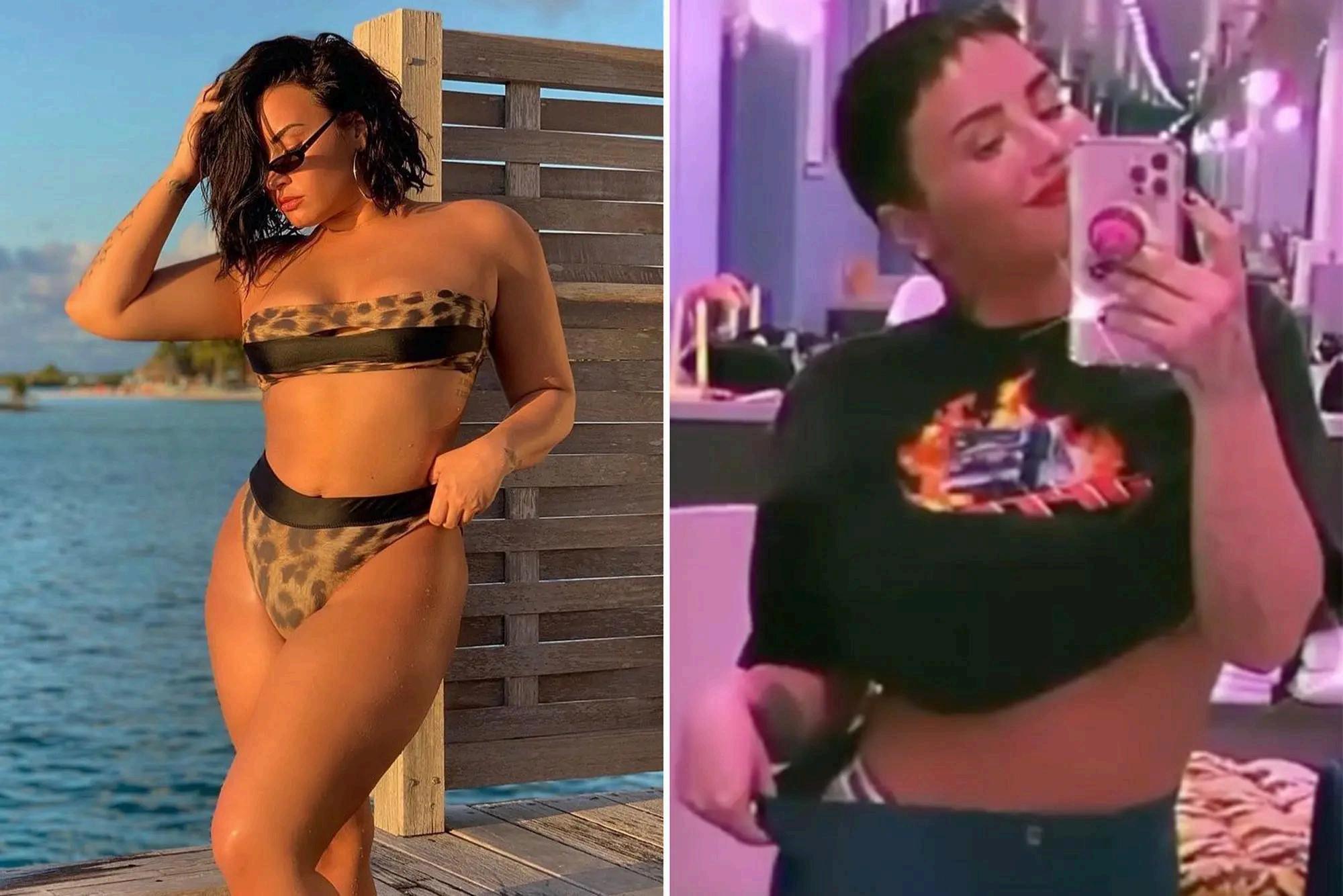 Demi Lovato Fat: The Sobriety Journey and Slam on Weight Loss by Free  Magazines - Issuu, image size:2000x1334